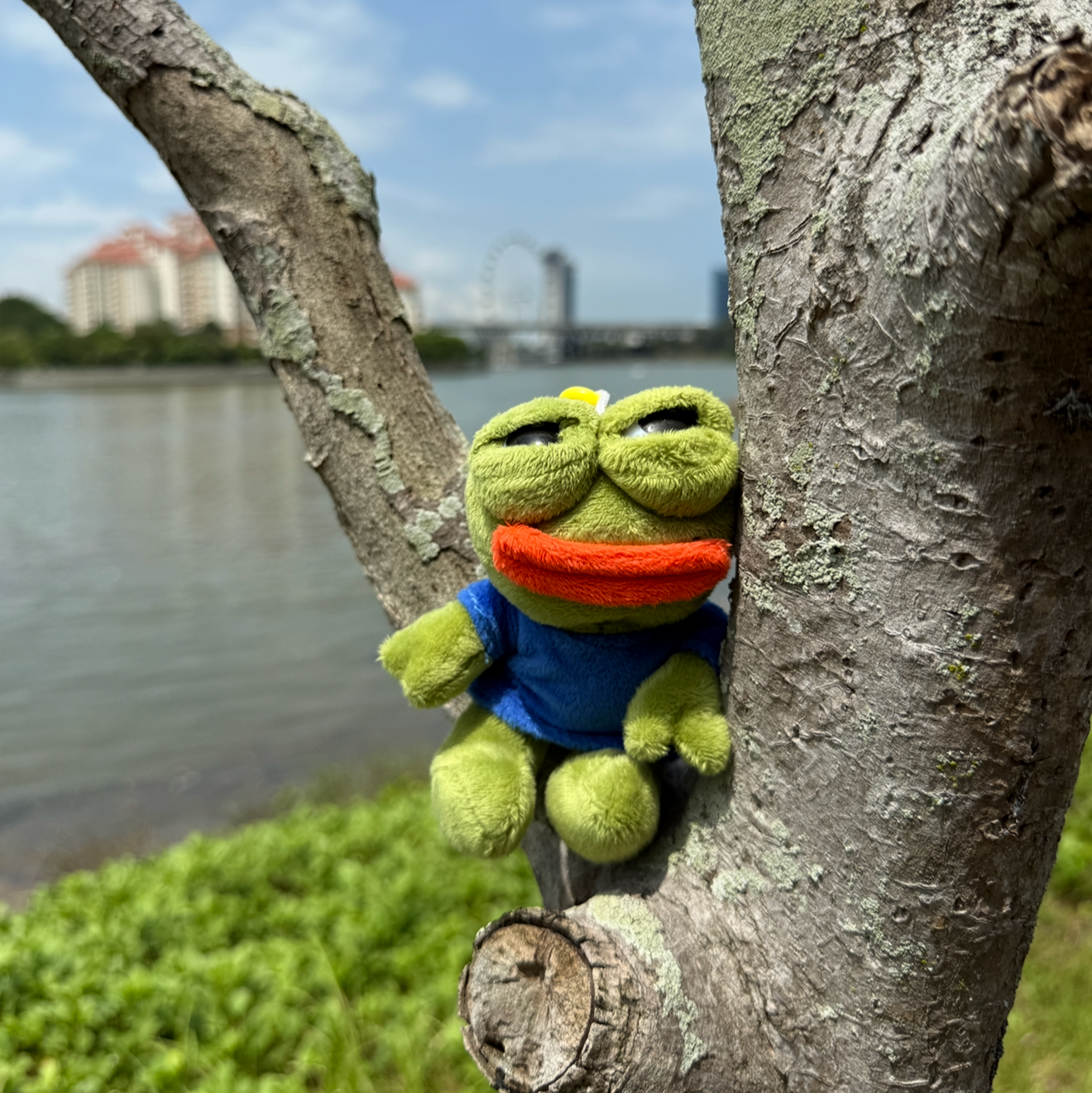 Pepe / Pinay