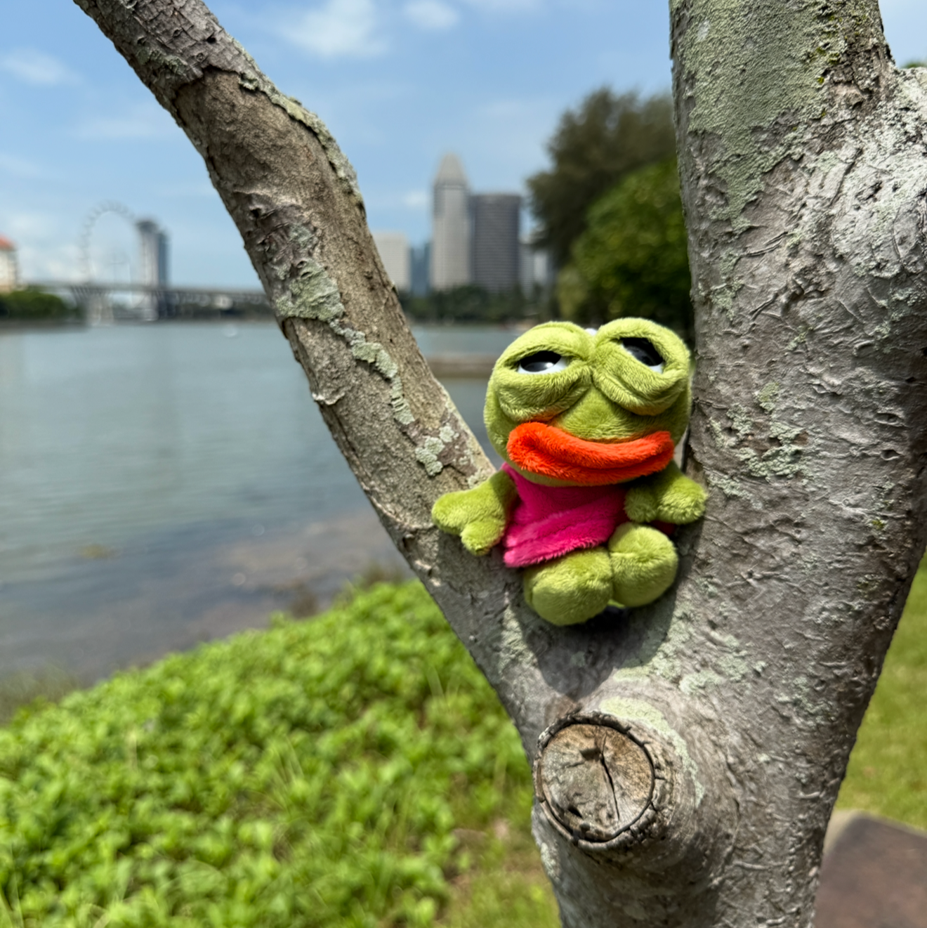 Pepe / Pinay